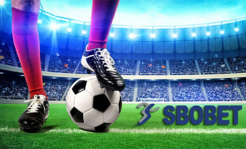 sbobet Tối ưu trải nghiệm chơi Kèo Bóng Đá trên Sbobet